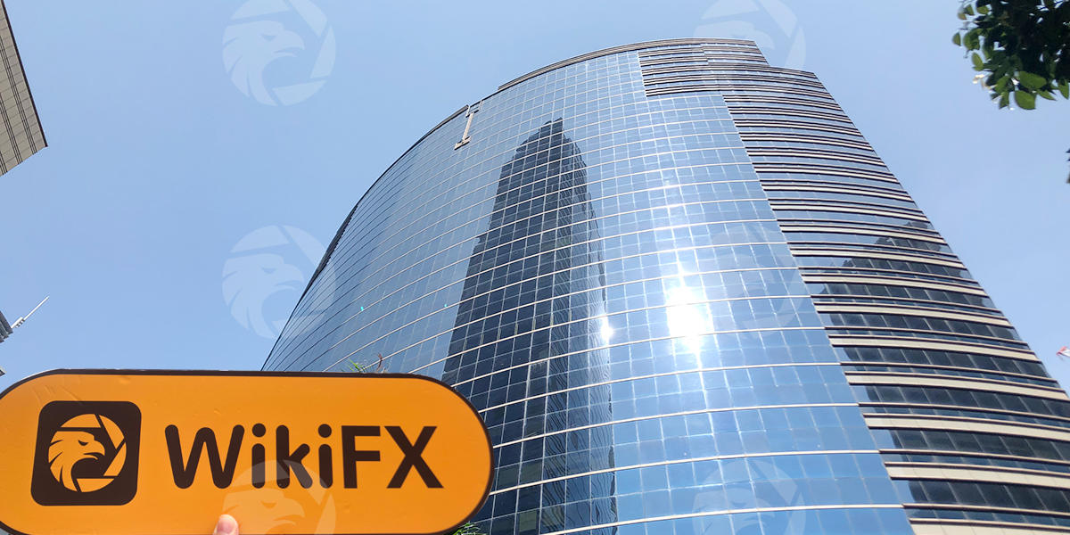 香港探访交易商sinolink国金证券 办公规模较大